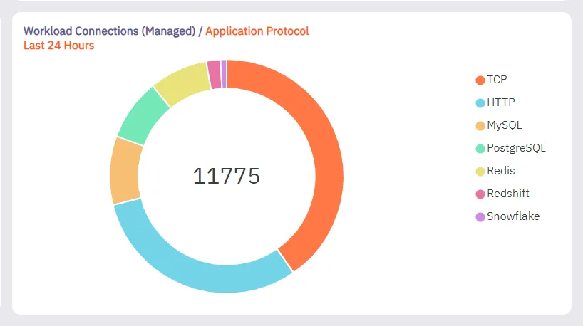 Workload Connections By Application Protocol