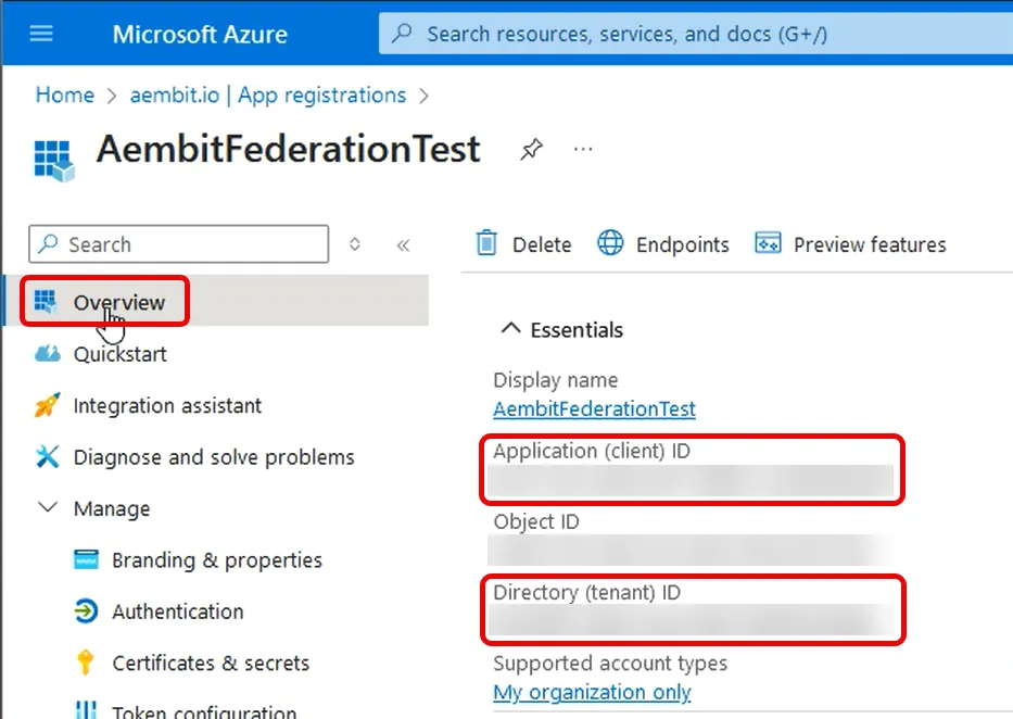 Azure Entra registered application overview page