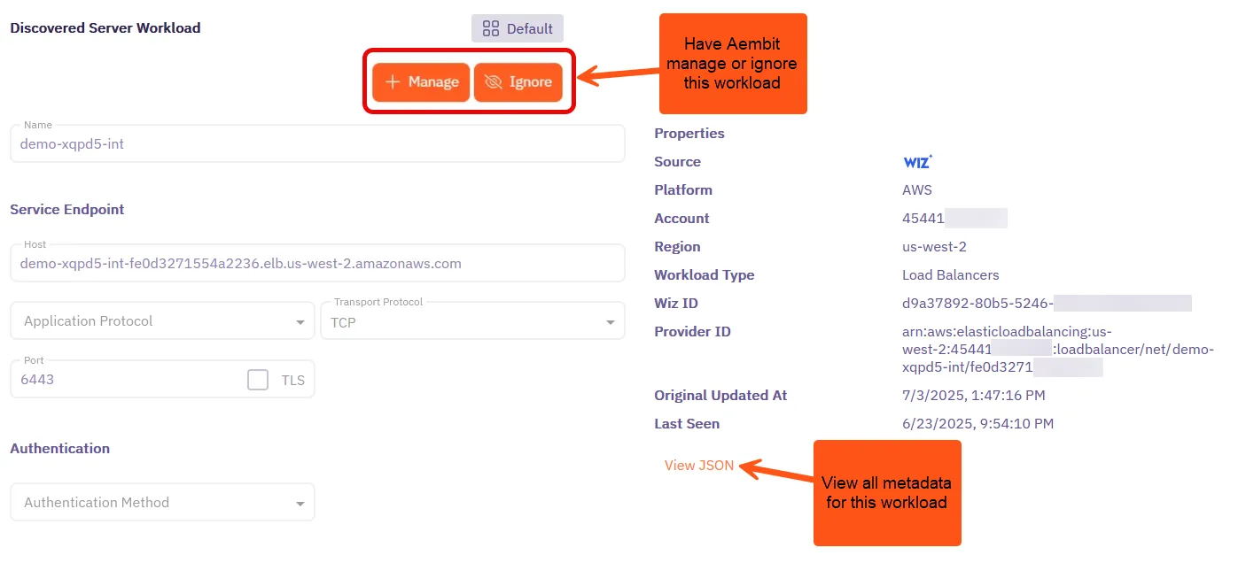 Discovered Server Workload details page