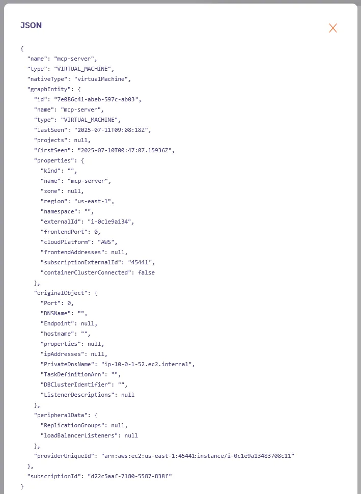 Raw JSON output of workload details