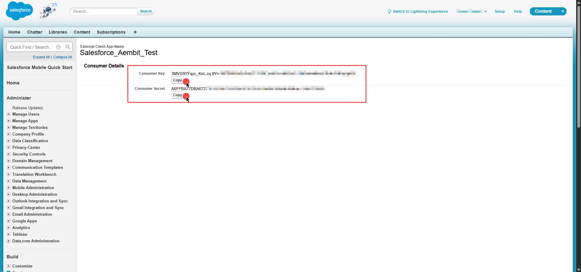 Copy Consumer Key and Secret